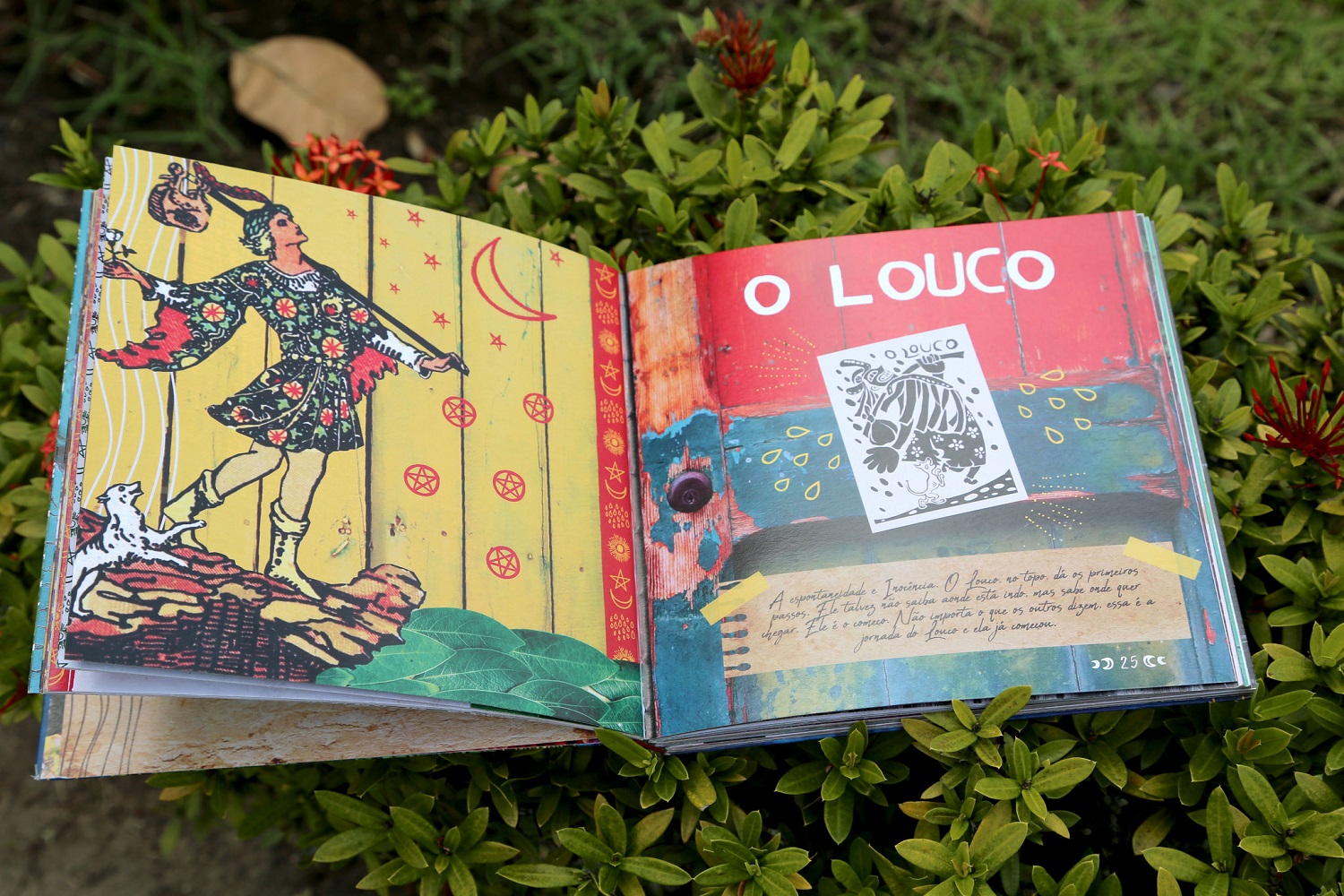 O Sergipe Encantando possui vinte e duas cartas de tarô que simbolizam os personagens entrevistados. 